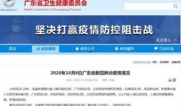 广州新干肺炎最新爆料,追踪病毒变异与防控措施强化